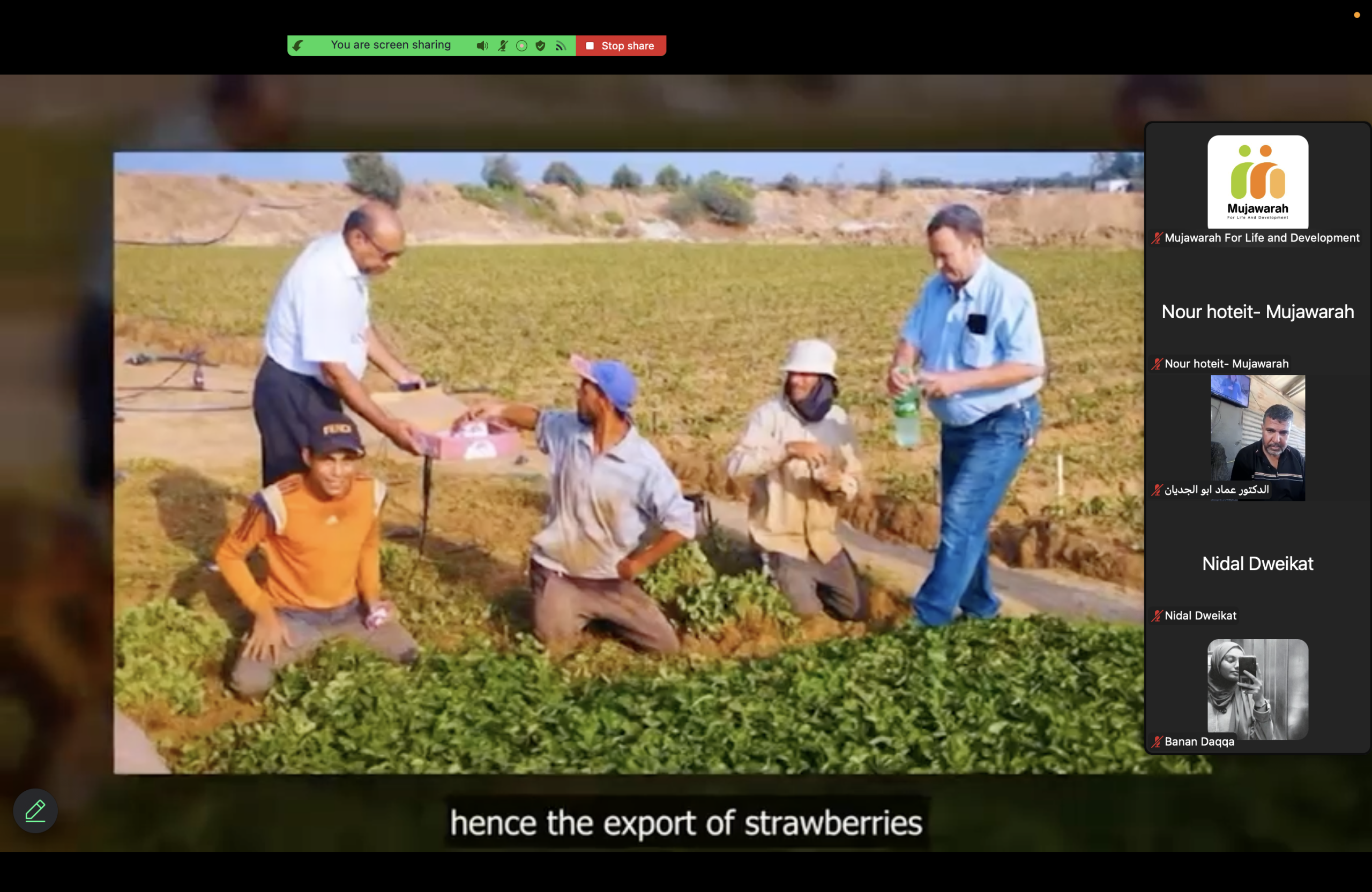 Cooperative Voices from Gaza: What Remains, and How Do We Begin Again?